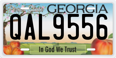 GA license plate QAL9556