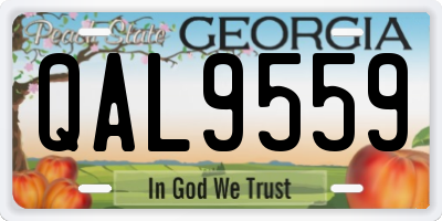 GA license plate QAL9559