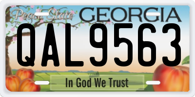 GA license plate QAL9563