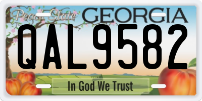 GA license plate QAL9582