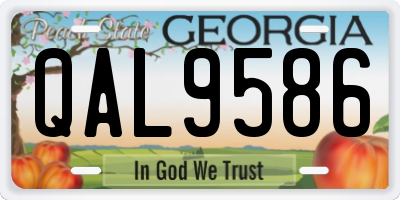 GA license plate QAL9586