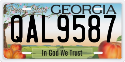 GA license plate QAL9587