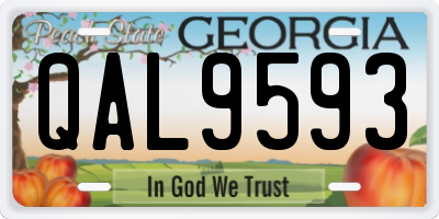 GA license plate QAL9593