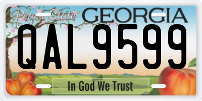 GA license plate QAL9599