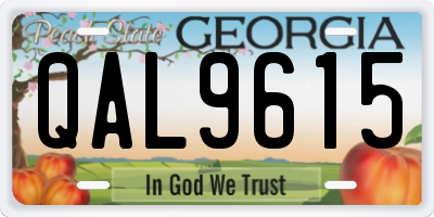 GA license plate QAL9615
