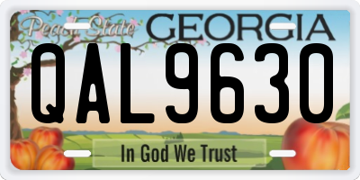 GA license plate QAL9630