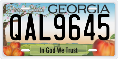 GA license plate QAL9645