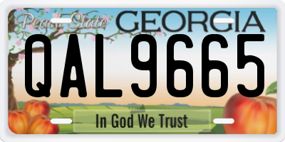GA license plate QAL9665