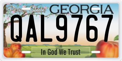 GA license plate QAL9767