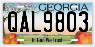 GA license plate QAL9803