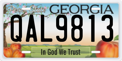 GA license plate QAL9813