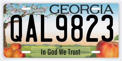 GA license plate QAL9823