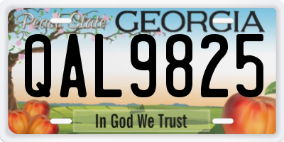 GA license plate QAL9825