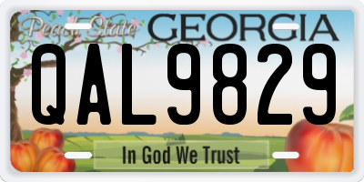 GA license plate QAL9829