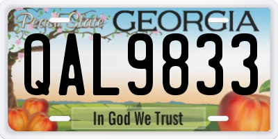 GA license plate QAL9833