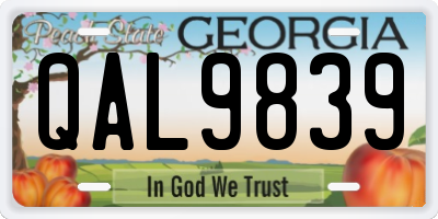 GA license plate QAL9839