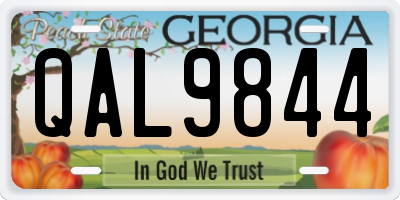 GA license plate QAL9844