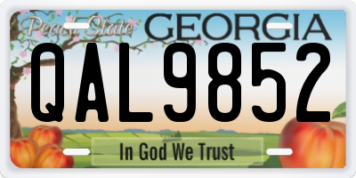 GA license plate QAL9852