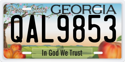 GA license plate QAL9853