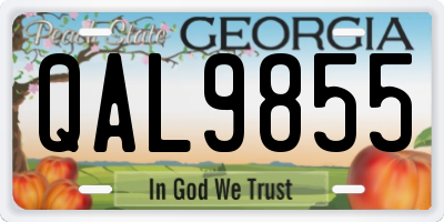 GA license plate QAL9855