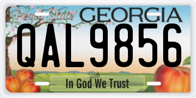 GA license plate QAL9856