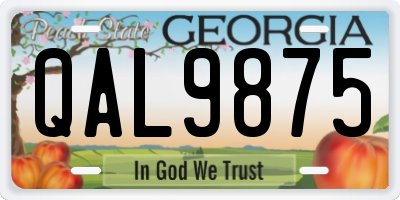 GA license plate QAL9875