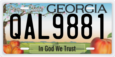 GA license plate QAL9881