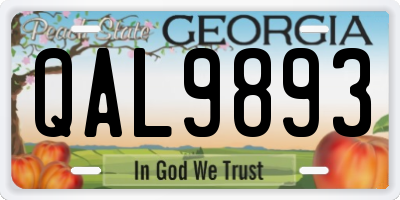 GA license plate QAL9893