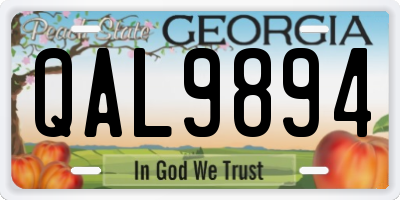 GA license plate QAL9894