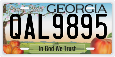 GA license plate QAL9895