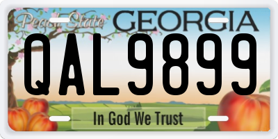 GA license plate QAL9899