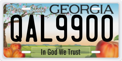 GA license plate QAL9900