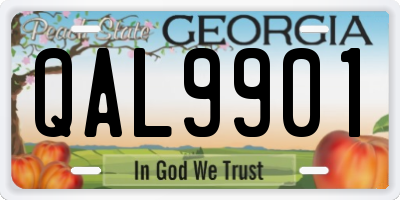 GA license plate QAL9901