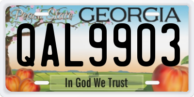 GA license plate QAL9903