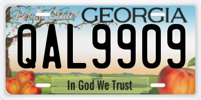 GA license plate QAL9909