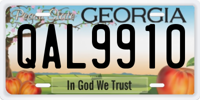 GA license plate QAL9910