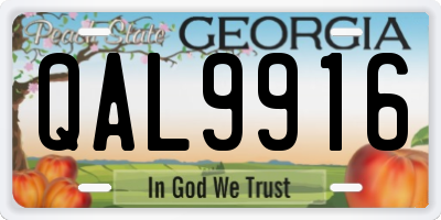 GA license plate QAL9916