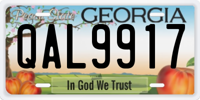 GA license plate QAL9917