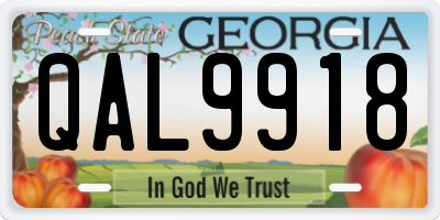 GA license plate QAL9918