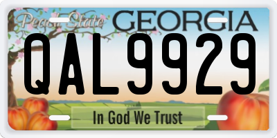 GA license plate QAL9929