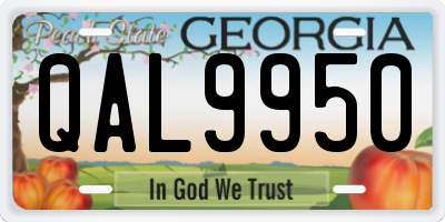 GA license plate QAL9950