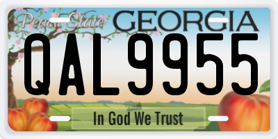 GA license plate QAL9955