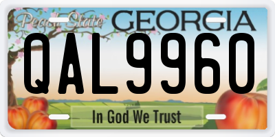 GA license plate QAL9960