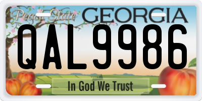 GA license plate QAL9986