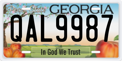 GA license plate QAL9987