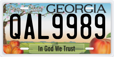 GA license plate QAL9989