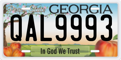 GA license plate QAL9993