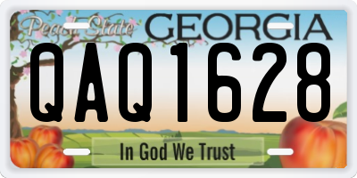 GA license plate QAQ1628