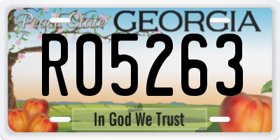 GA license plate R05263