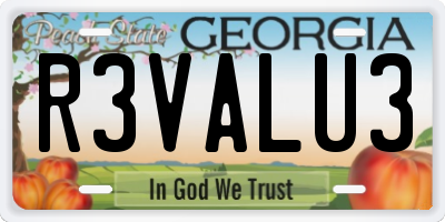 GA license plate R3VALU3